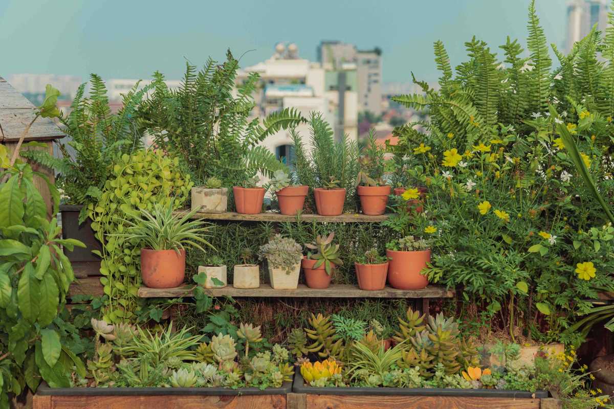 Five Prime Herb Gardening Methods for Compact Apartment Balconies